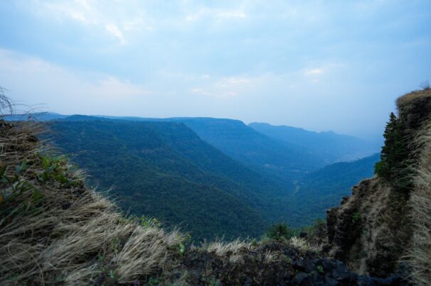 maniforestcamp_1676729683_3040951439719074360_29700632790