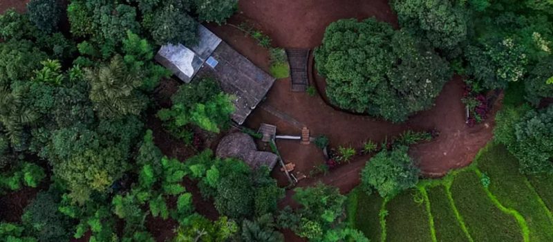 maniforestcamp_1670935579_2992346982149571983_29700632790