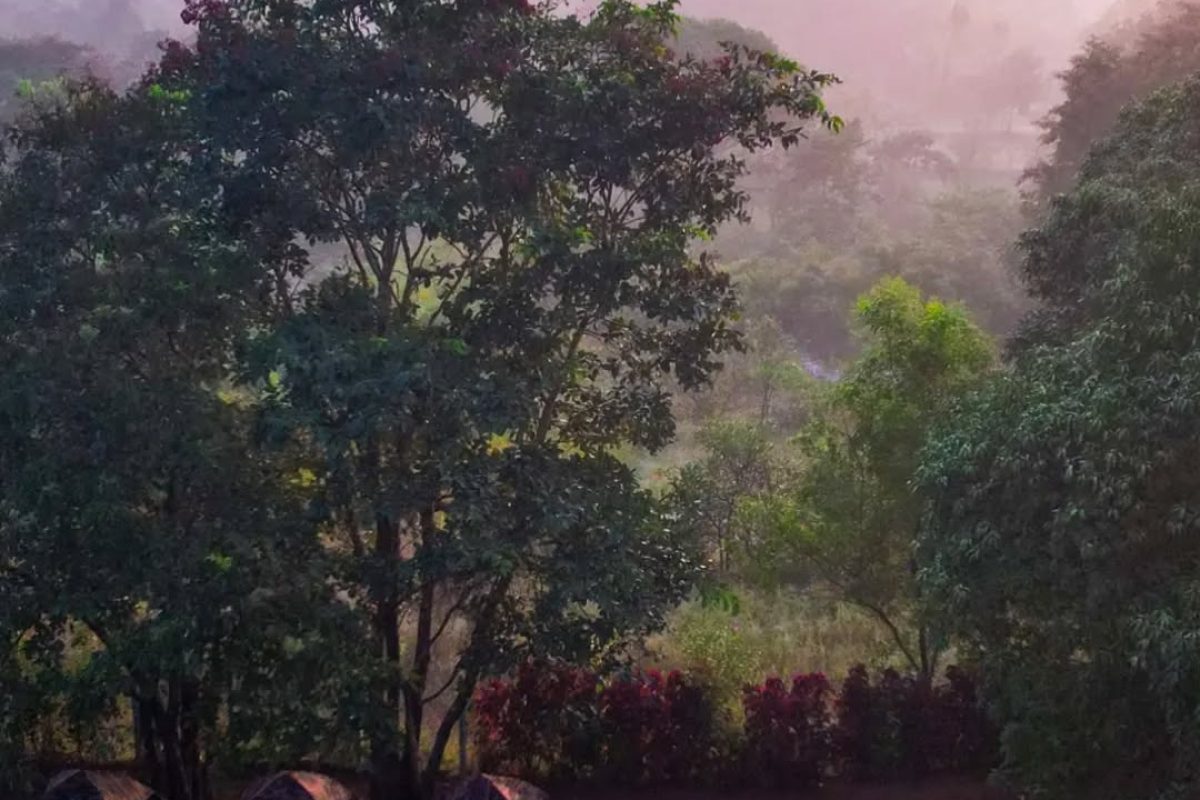 maniforestcamp_1670939729_2992381797765194798_29700632790